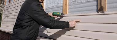 Best Custom Trim and Detailing for Siding  in Rio Linda, CA